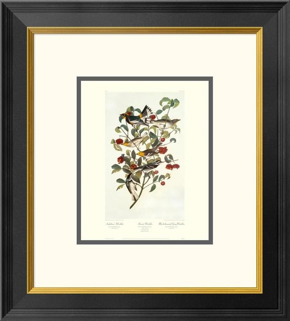 "Audubon's Warbler (decorative border)"  by John James Audubon, 18x20"