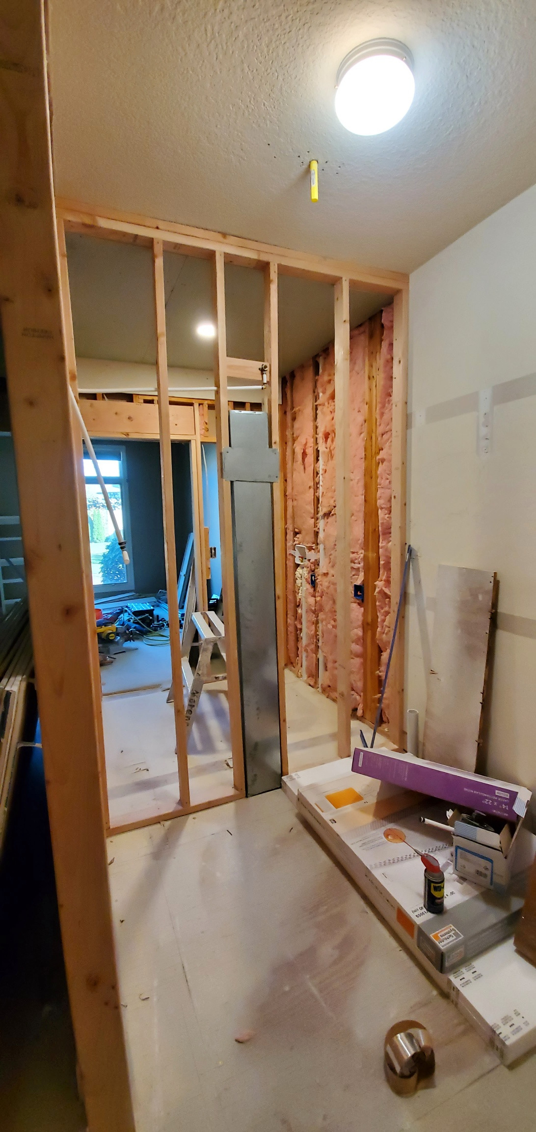 Sharon's Mstr Suite renovation