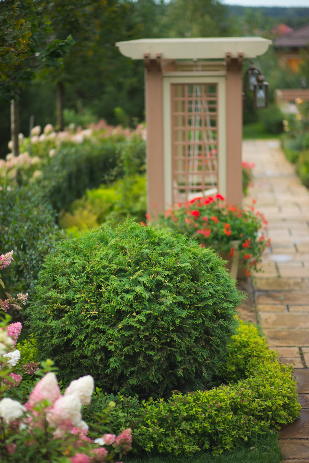 Регулярная классика