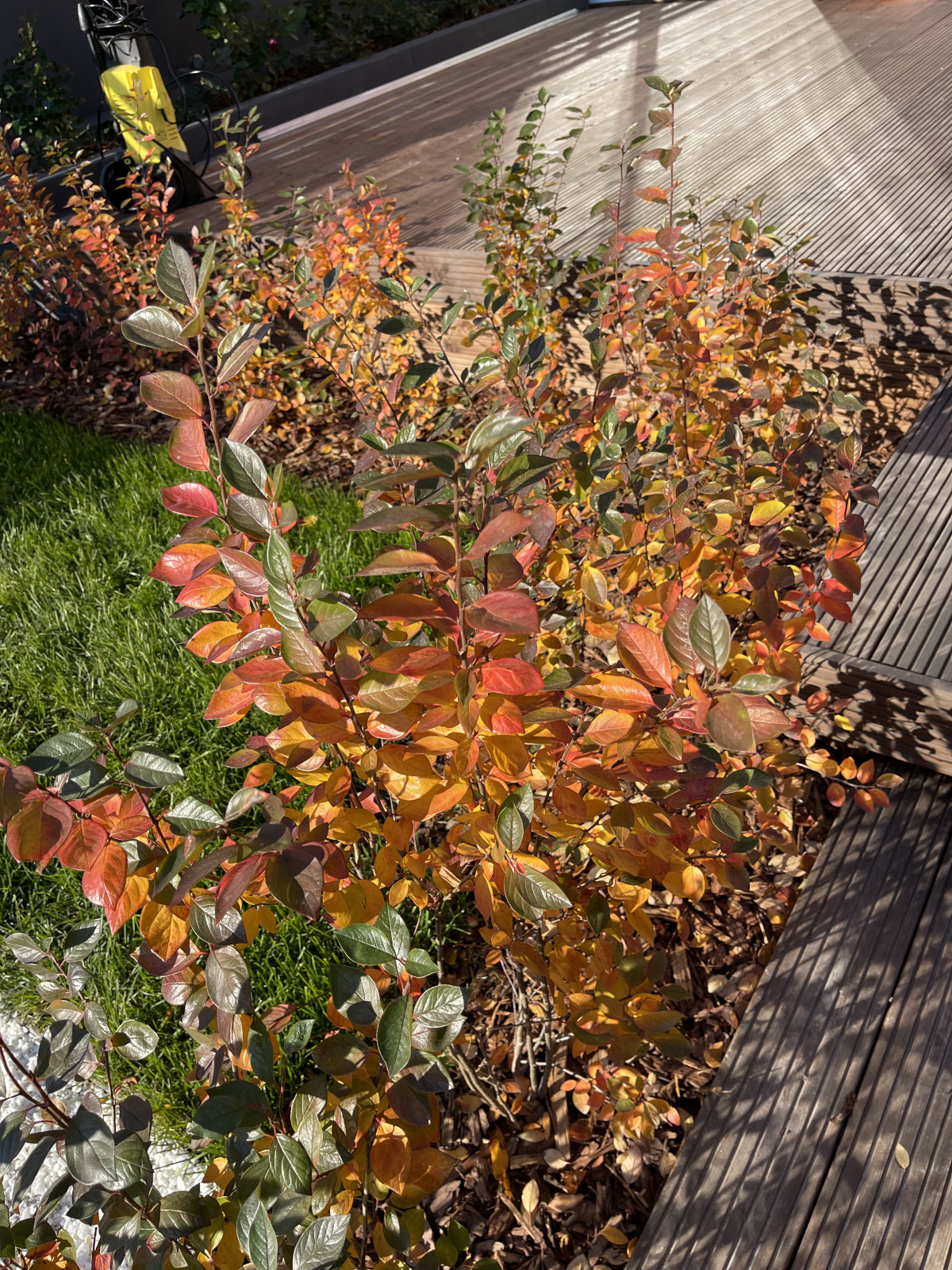 КП "Кратово"