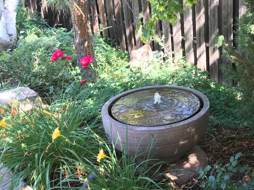 Photo of a transitional landscaping in Denver.
