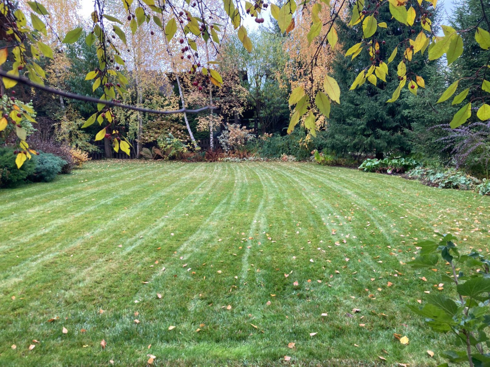 Ландшафтный проект 6