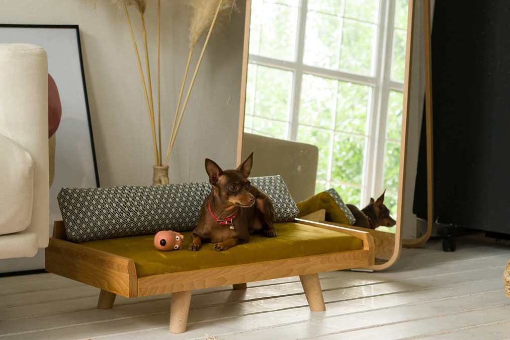 Кровать для собак и кошек OLZY