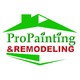 Pro Painting & Remodeling