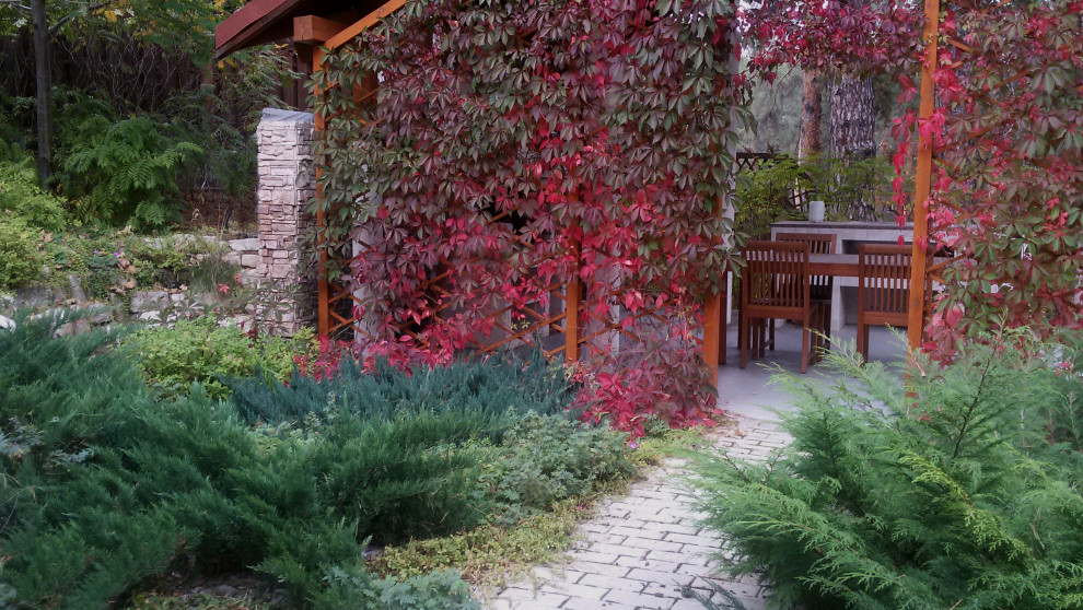 Сосновый бор