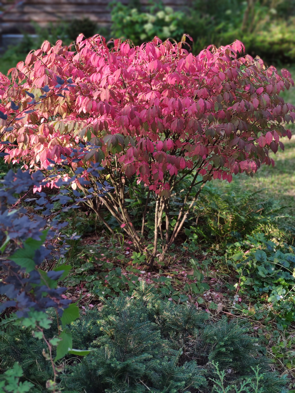 "Дача в Кратово"