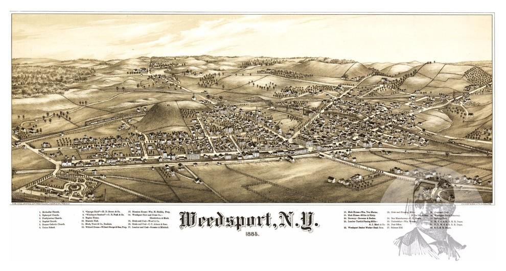 Historic Weedsport, NY Map 1885, Vintage New York Art Print Decor, 12