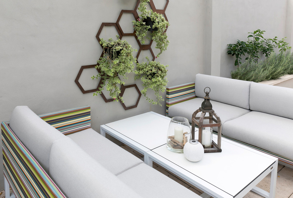 Inspiration for a small contemporary backyard full sun formal garden in Sydney with a vertical garden.