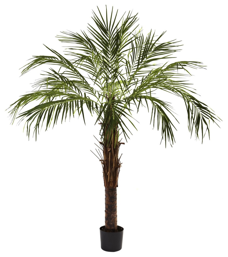Artificial Tree 6 Foot Robellini Palm Tree