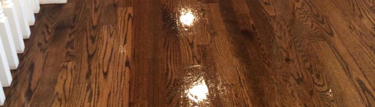 Old Maple Floors With 4 Coats Of Tung Oil