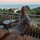 jonathon_shaw