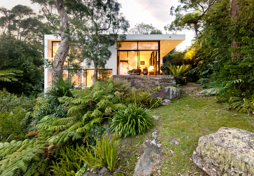 Modern split-level white exterior in Sydney with a flat roof.