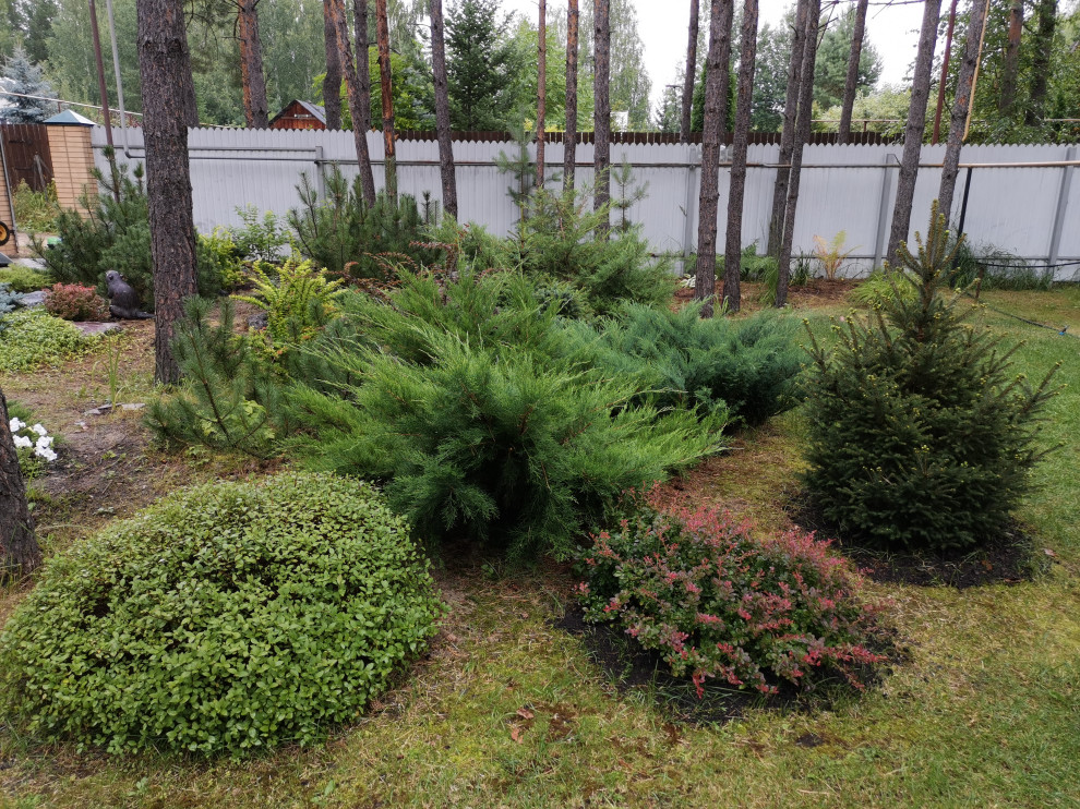 Лесная сказка Марий Эл. Сад в стиле Naturgarden