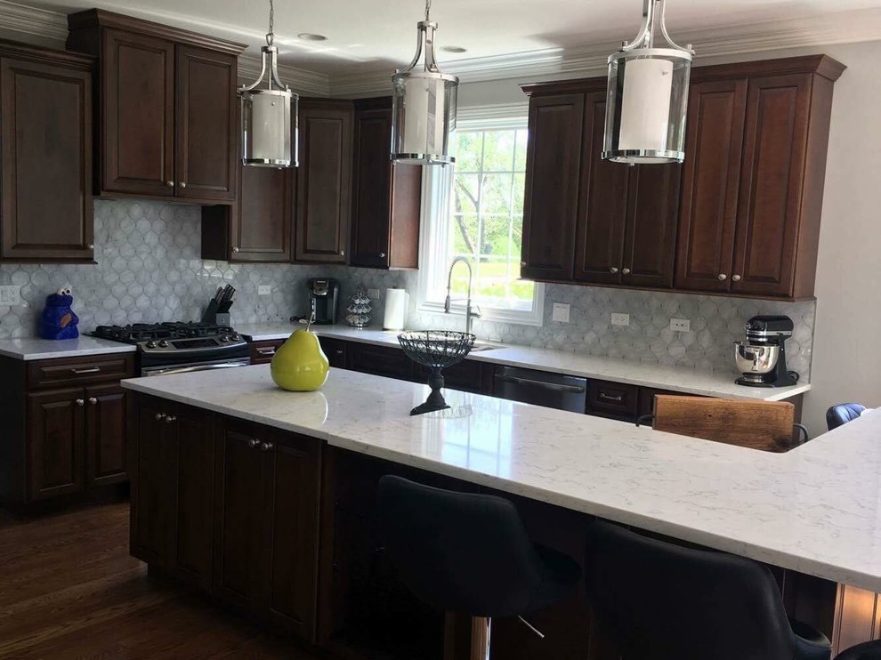 Kitchen - transitional kitchen idea in Chicago
