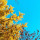 webuser_10786639