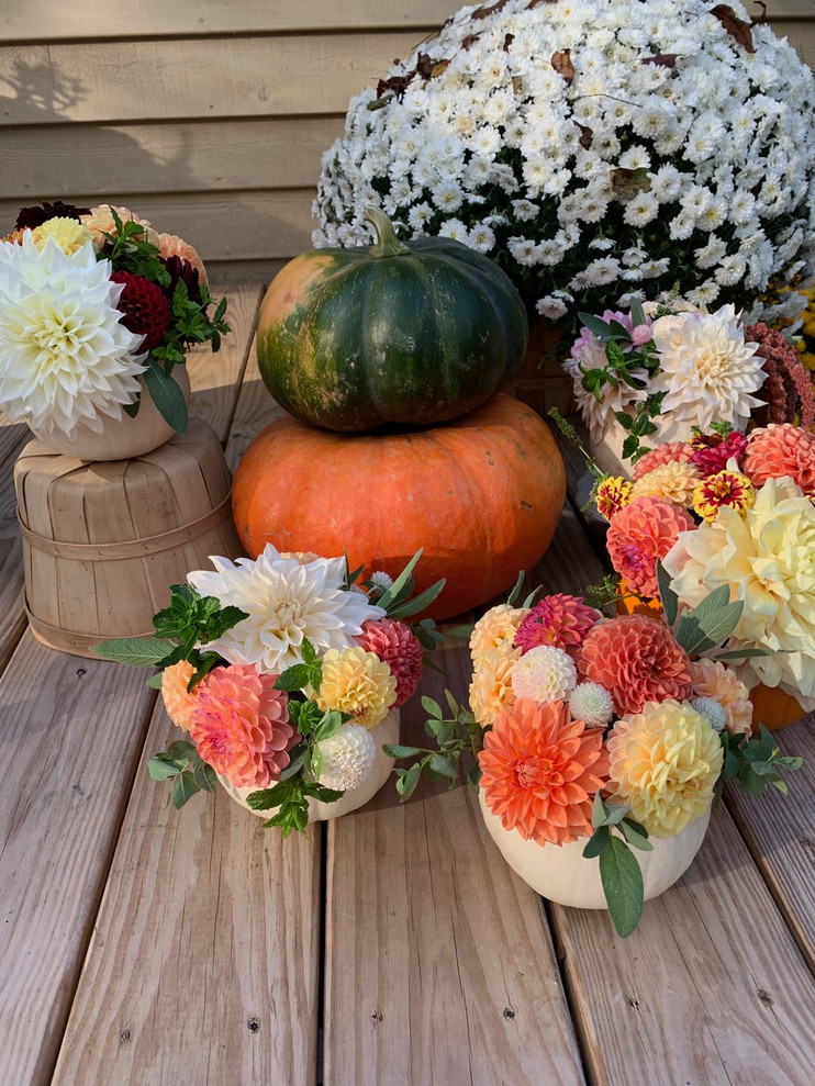 Inspiration for a small country entryway remodel in Other
