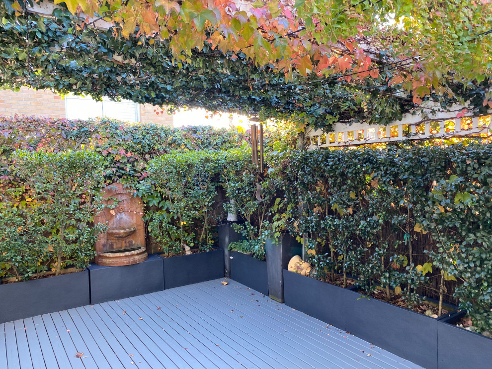 Timber Cottage in Crows Nest Sydney