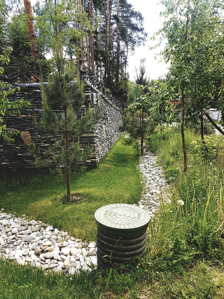 Планировка участка и посадка Елей