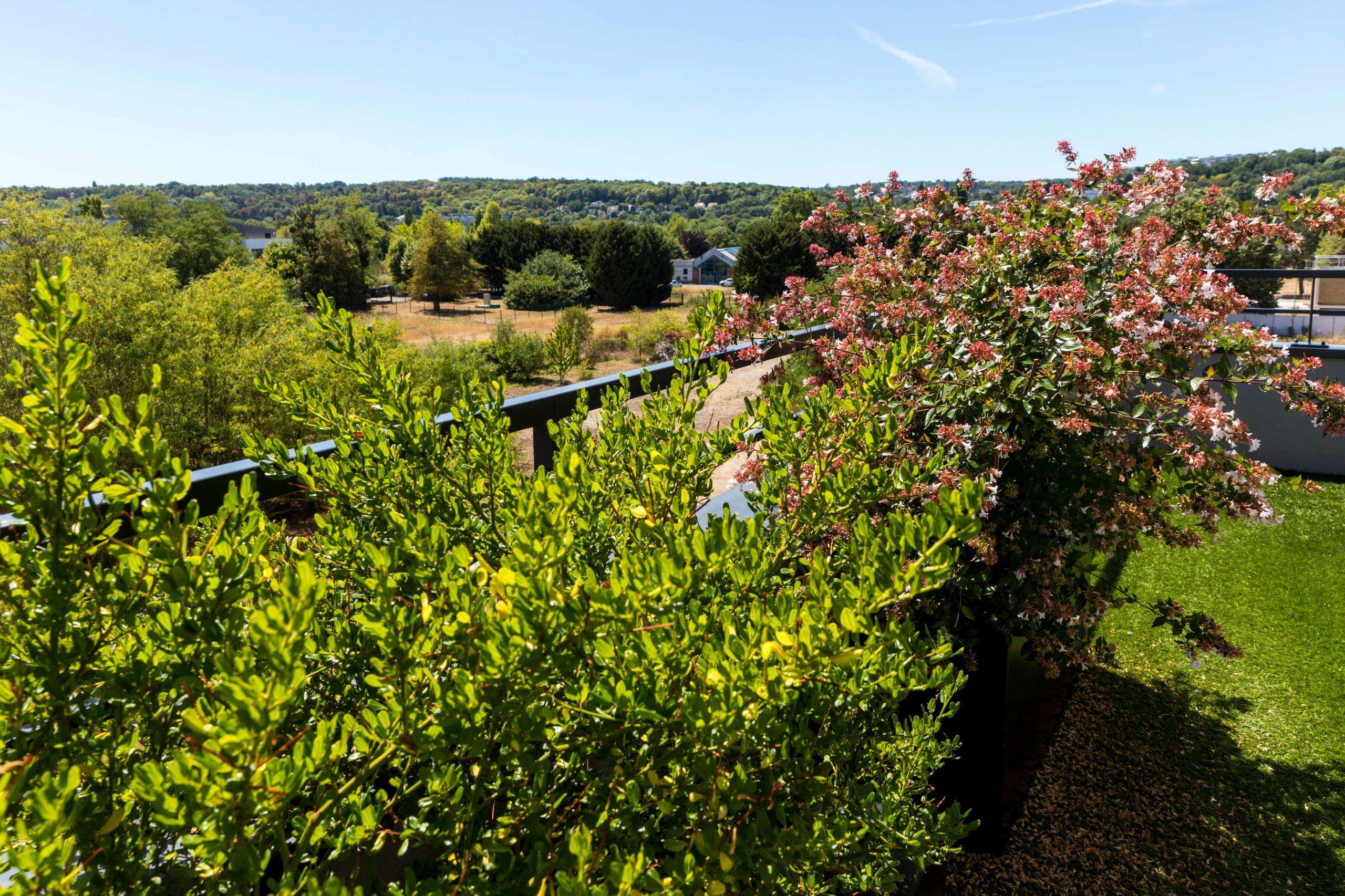 une terrasse foisonnante!