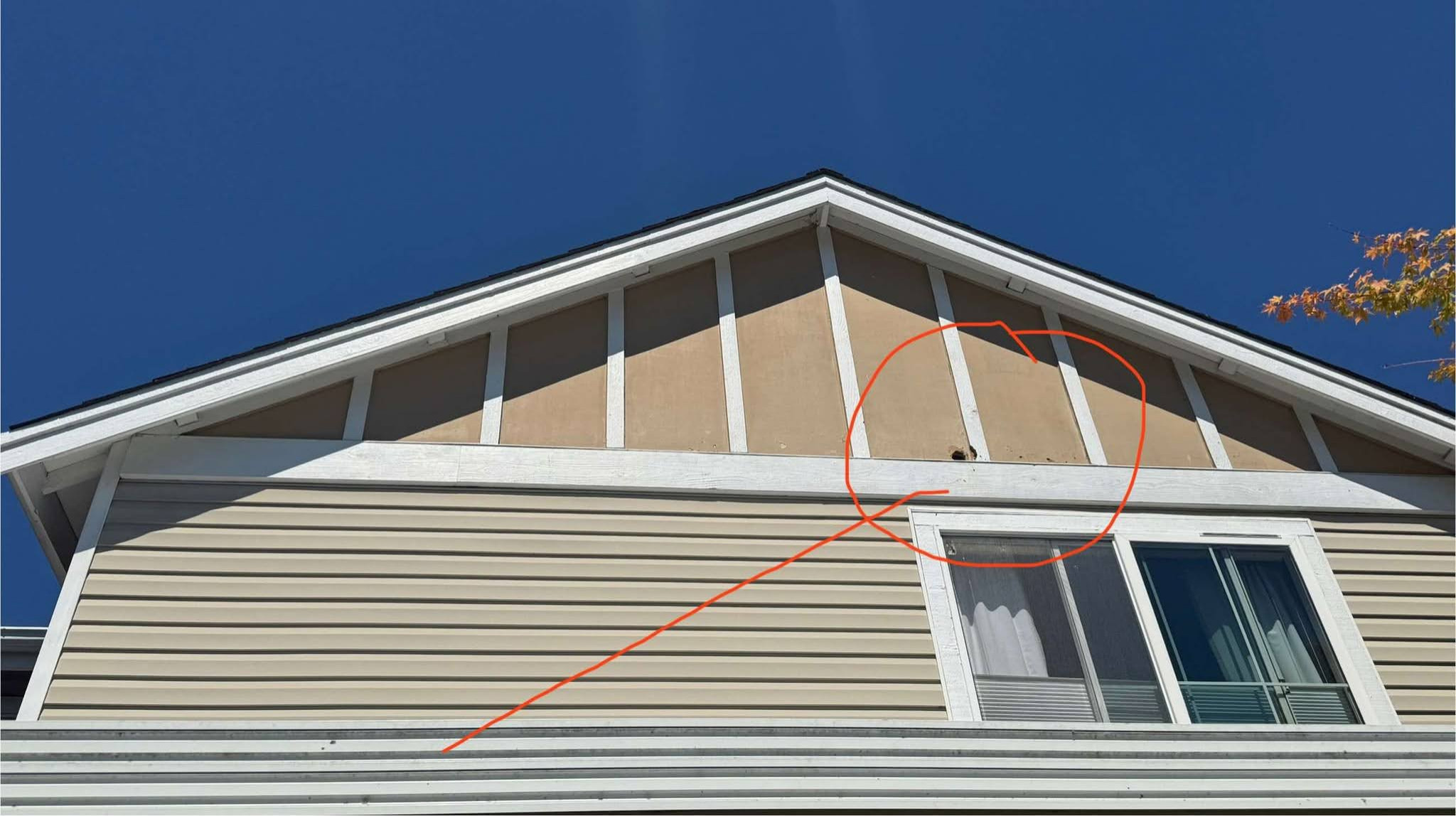 Exterior Wood Repairs & Repaint