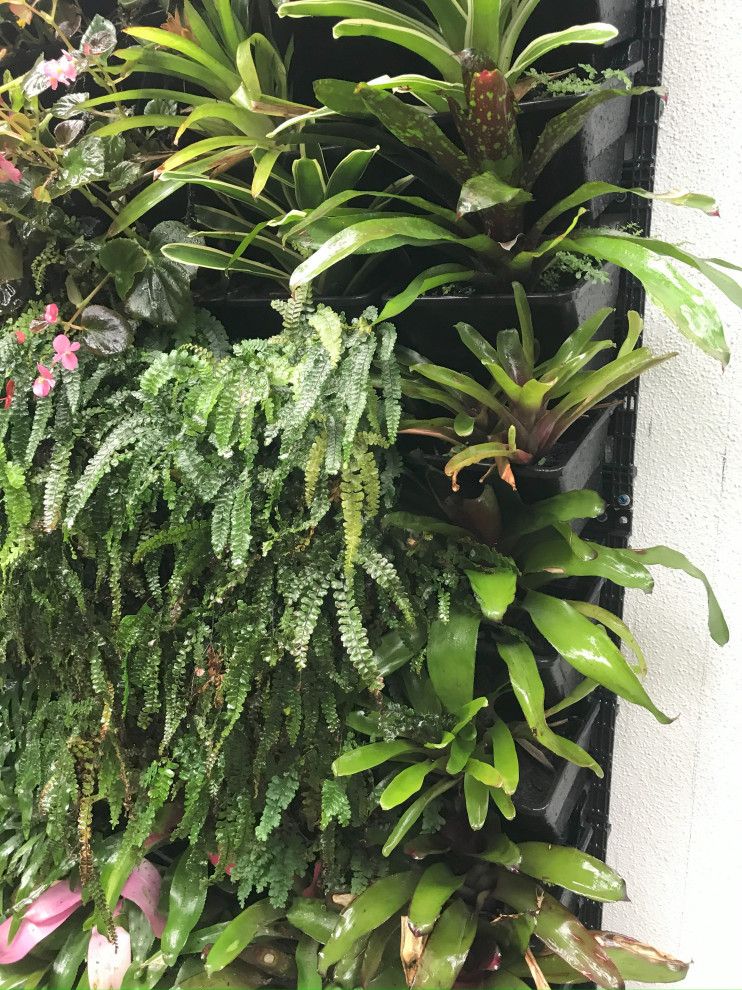 Living Wall