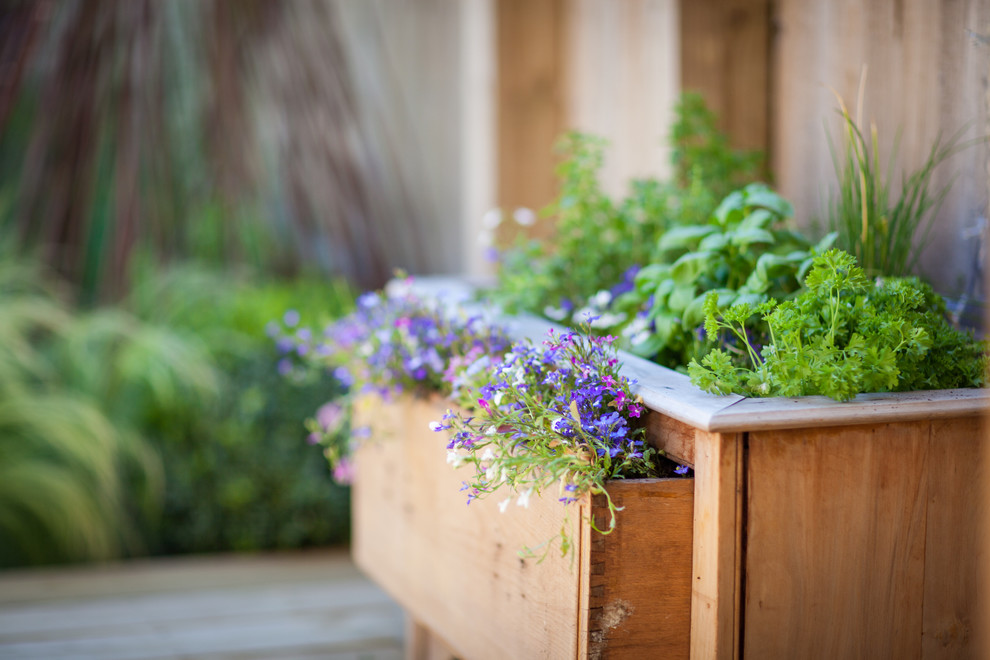Inspiration for a modern garden in Hampshire.