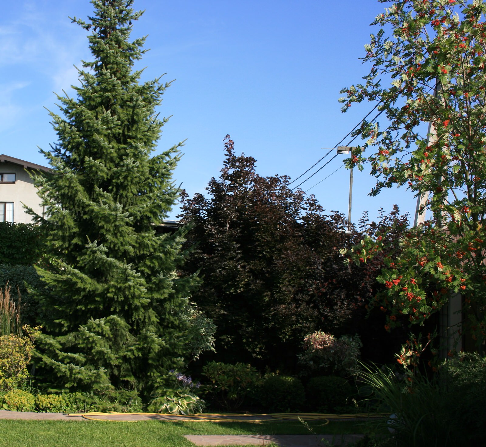 Сад в Летово