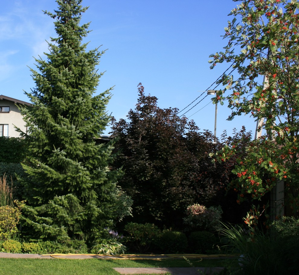 Сад в Летово