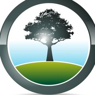 Black Tree Developments Ltd.