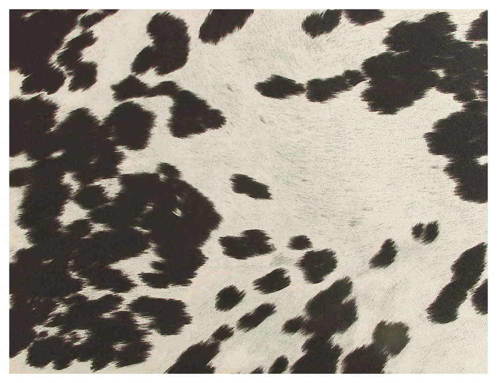 Black And White Faux Cowhide Fabric All About Cow Photos