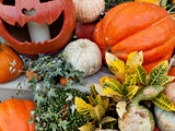 Come Scegliere, Intagliare e Decorare una Zucca di Halloween (15 photos) - image  on http://www.designedoo.it