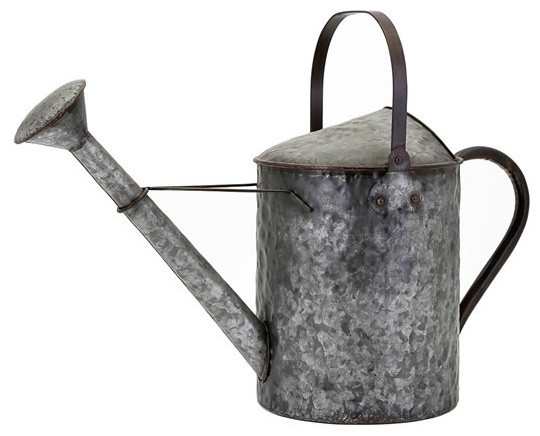 Darnell Galvanized Decorative Watering Can - Watering Cans ...