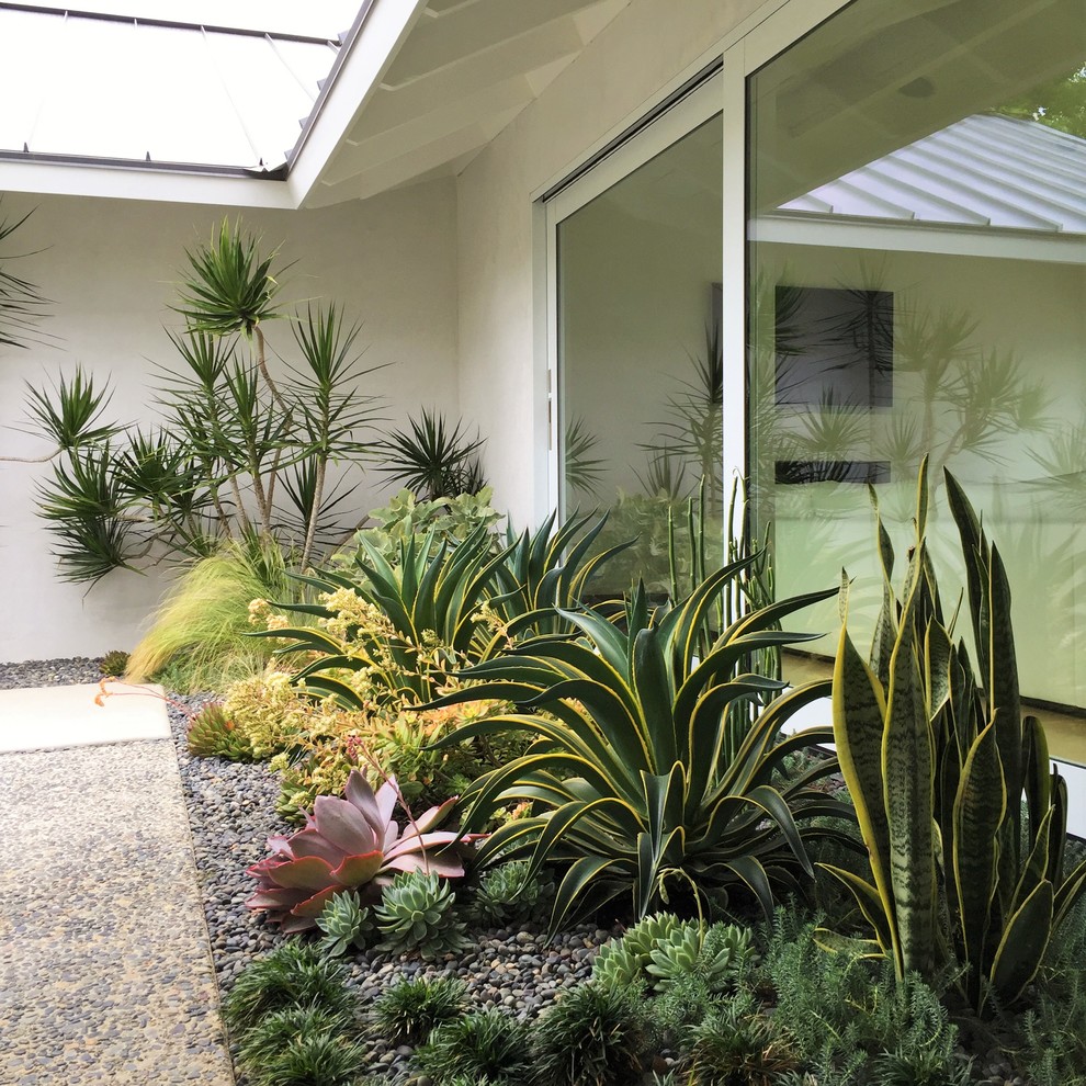 Inspiration for a mid-sized midcentury garden in Orange County.