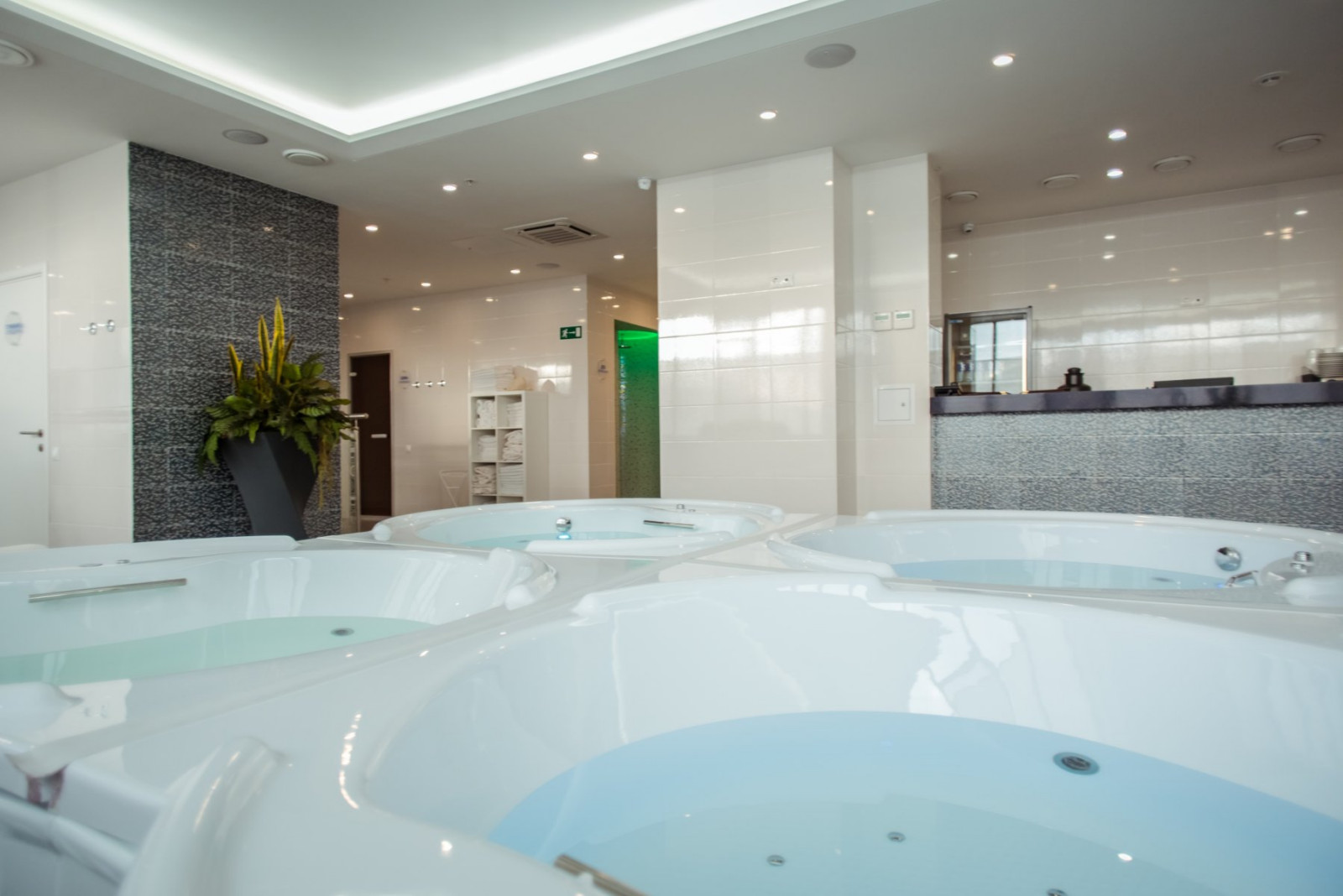 семейный велнес клуб