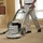 Total Carpet Cleaning Melbourne