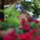 rachel_matthews22