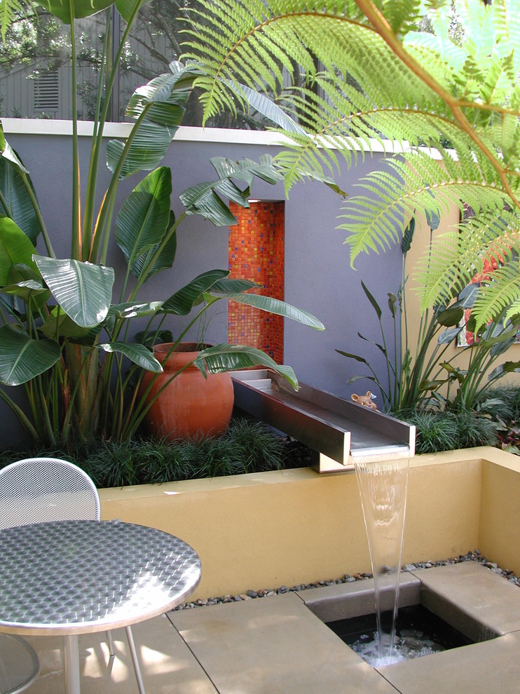 Design ideas for a contemporary garden in Orlando.