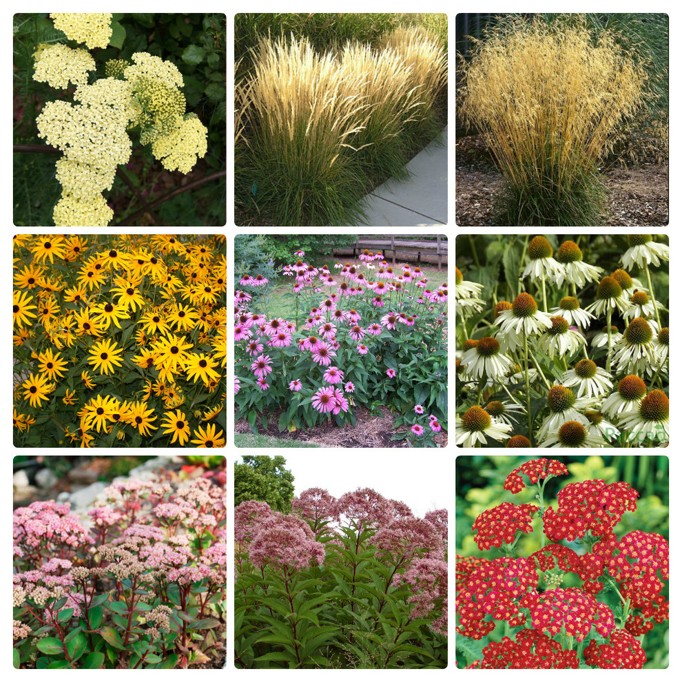 Рижское взморье