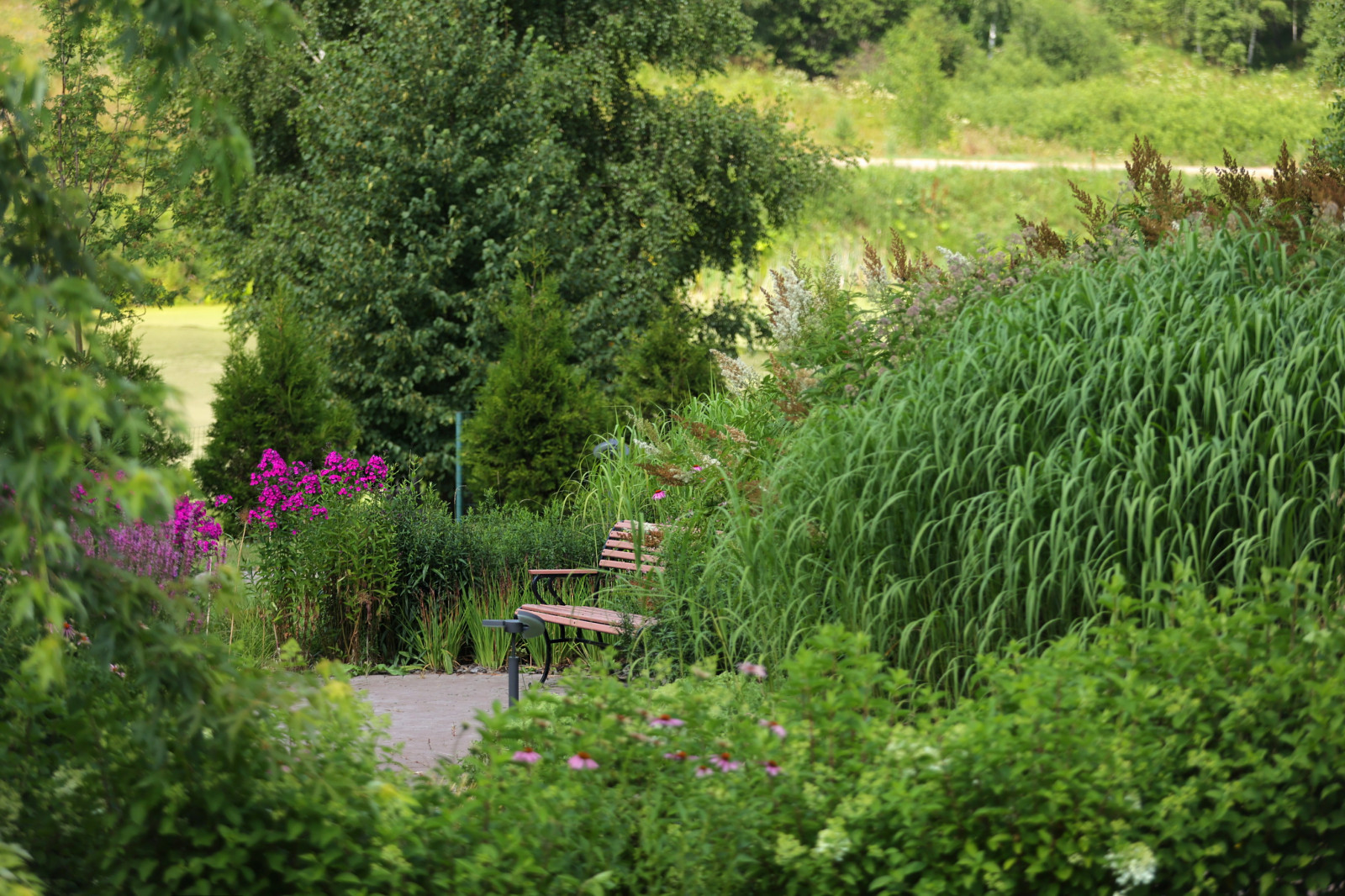 Якшино. Осень 2019