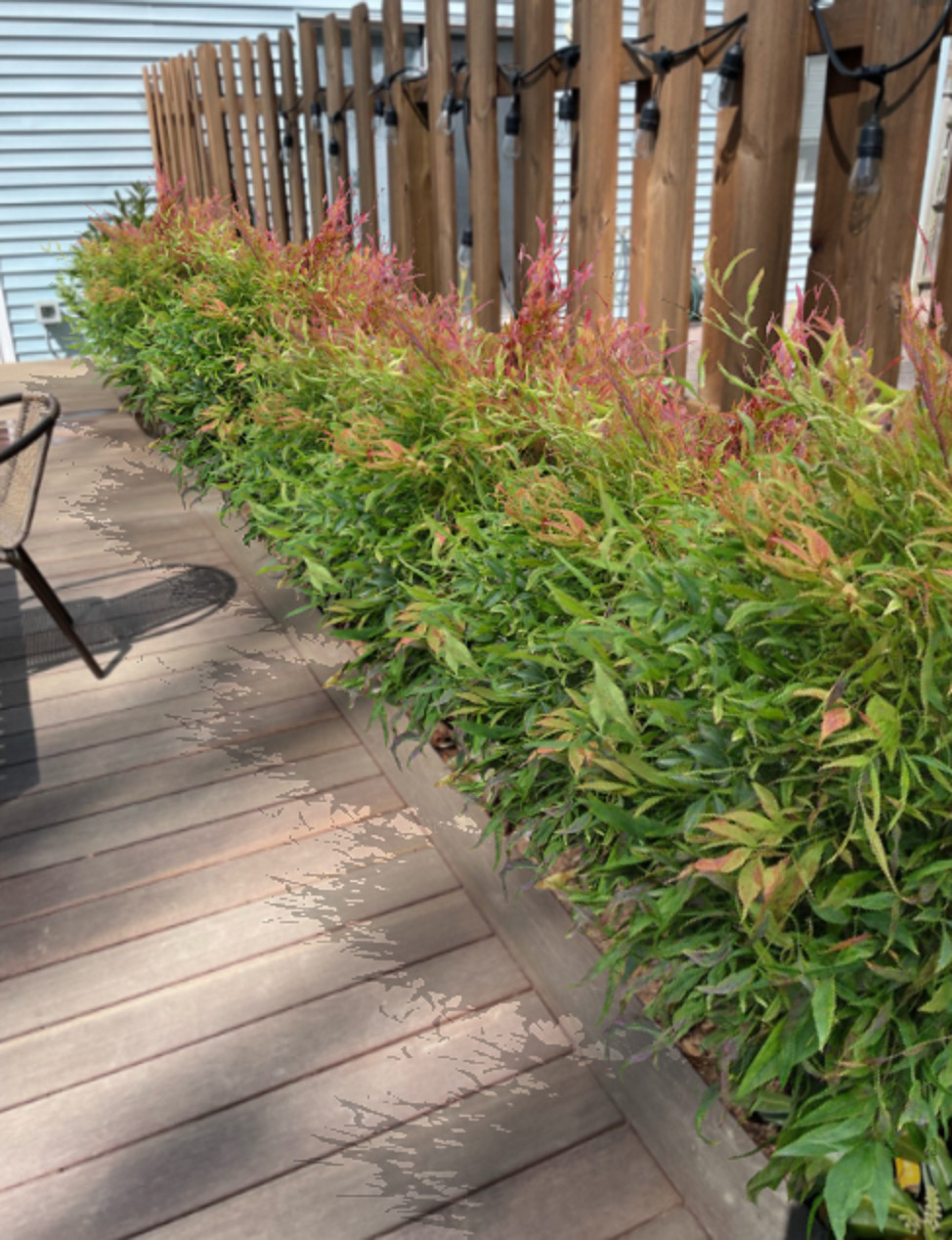 Small Patios