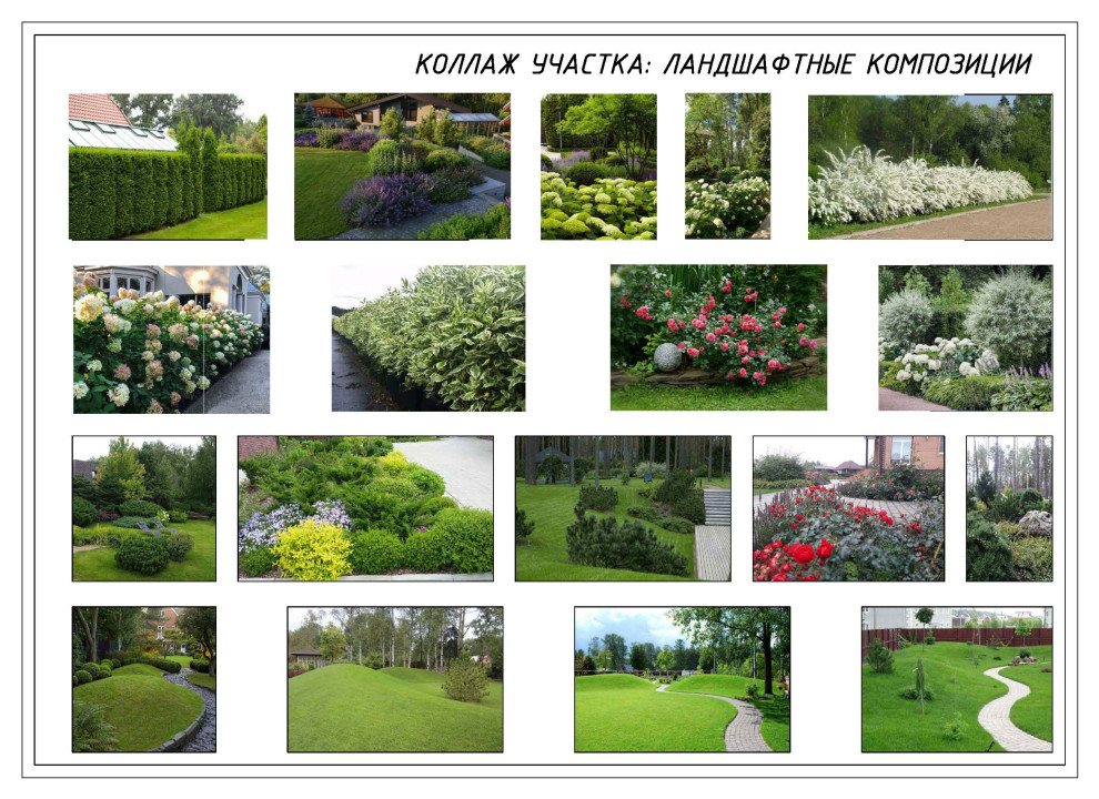 Псковское раздолье