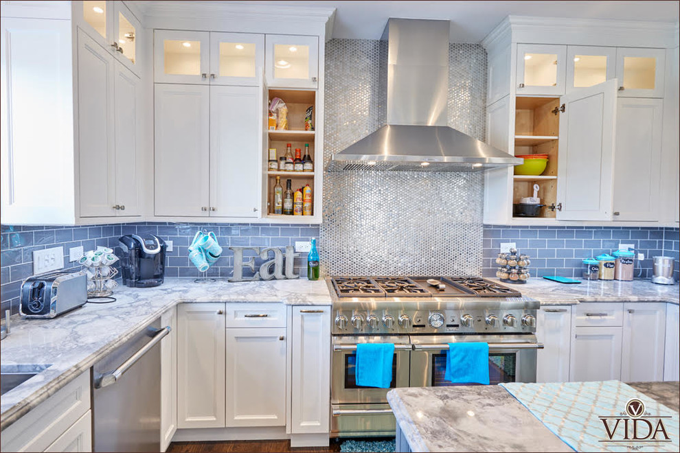 Transitional u-shaped kitchen photo in Chicago