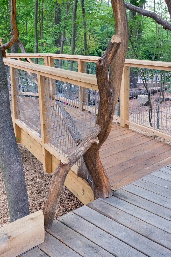 Discovery Woods