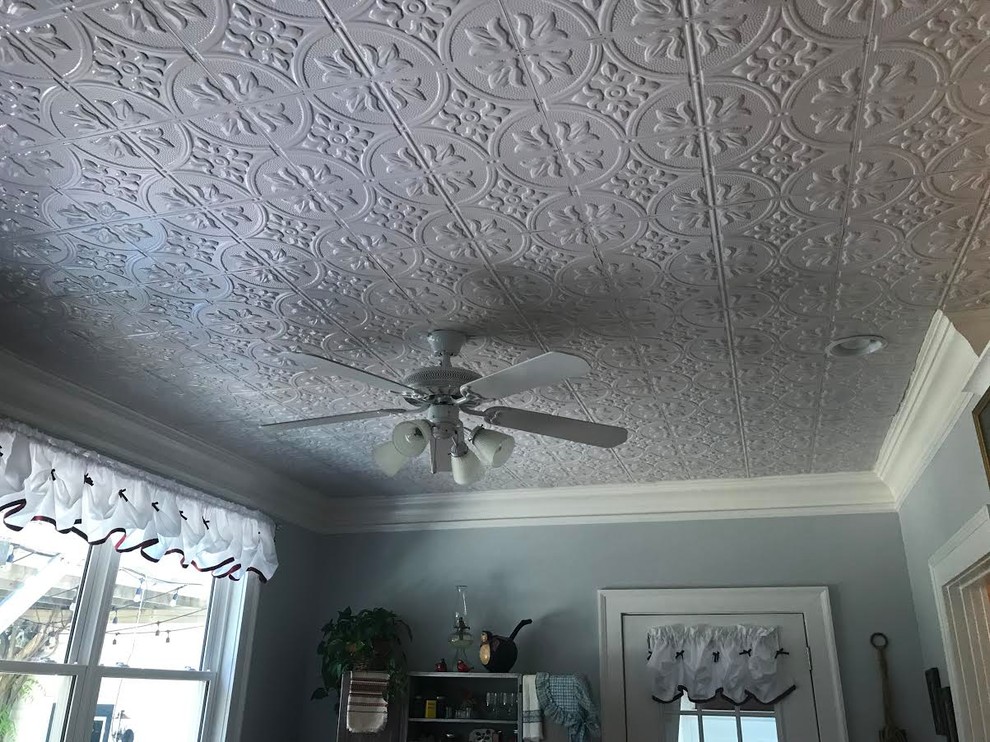 Waleska Decorative Ceiling