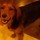 debra_compton
