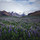 sven_fuerst84