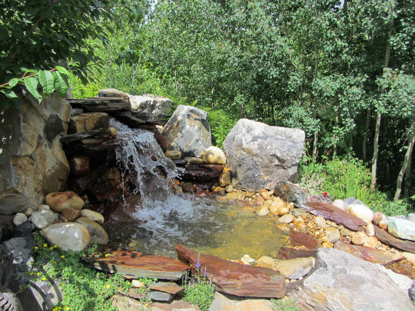 Outdoor Oasis Landscape Design