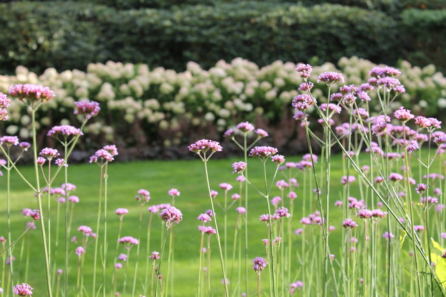 Schaugarten traditional-garden