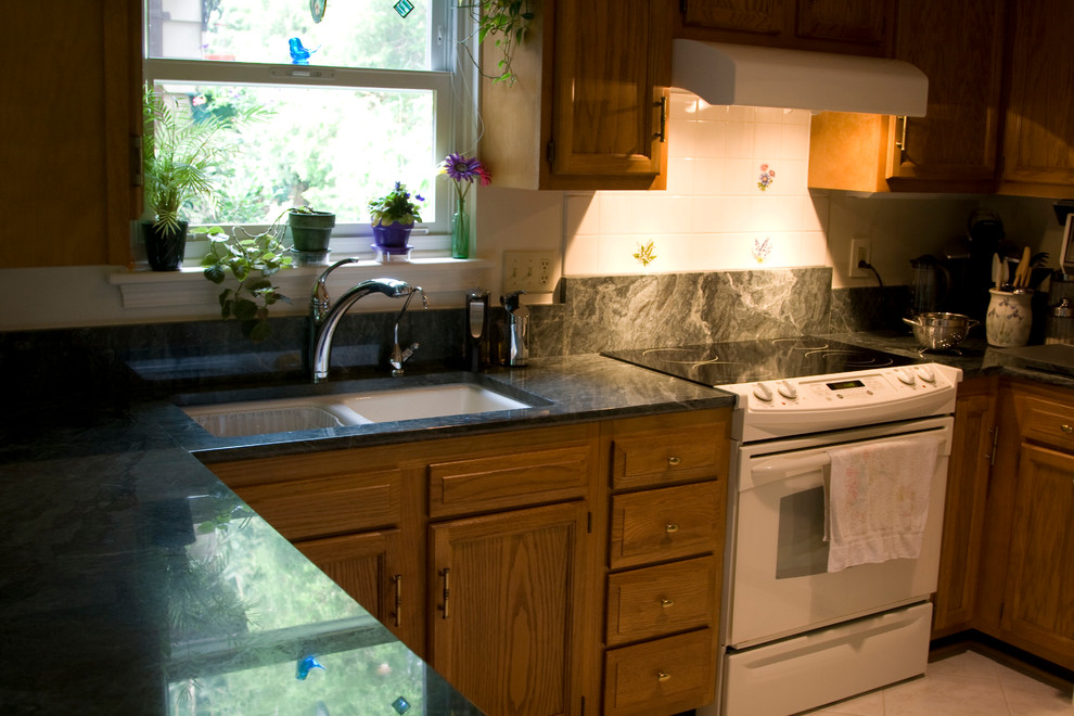 Kitchen - transitional kitchen idea