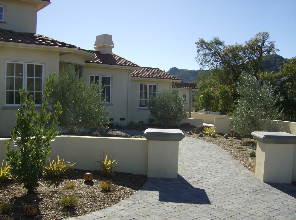 This is an example of a large mediterranean courtyard full sun driveway for fall in San Francisco with a garden path and concrete pavers.